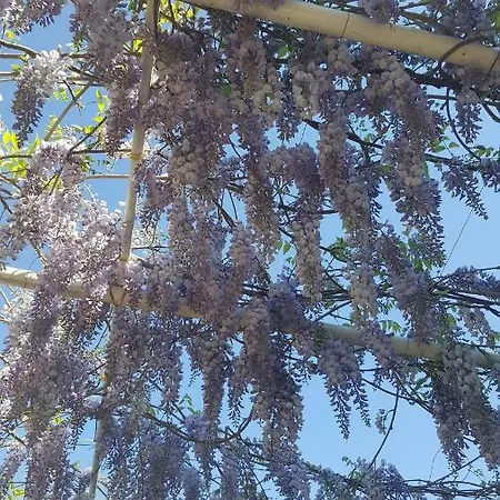 La Casa Degli Ospiti Apartmán *